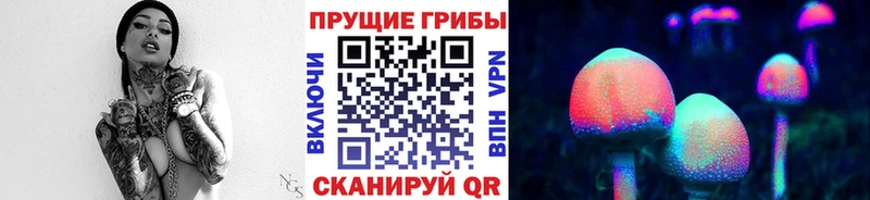 ОМГ ОМГ   Подольск  Псилоцибиновые грибы MAGIC MUSHROOMS 