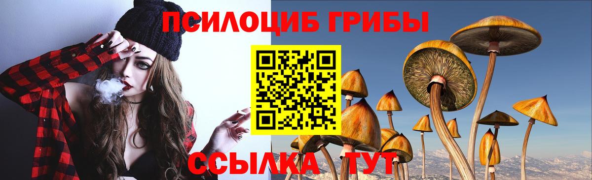 Галлюциногенные грибы прущие грибы  Вход с VPN  Подольск  Галлюциногенные грибы Magic Shrooms 